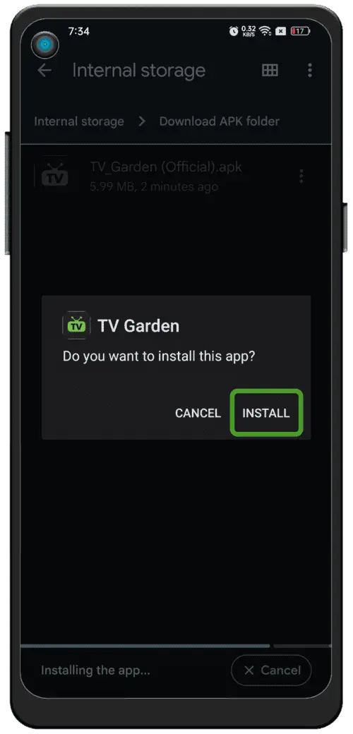 Install and Launch CSTV